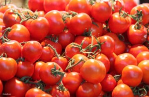 fresh_tomatoes-a