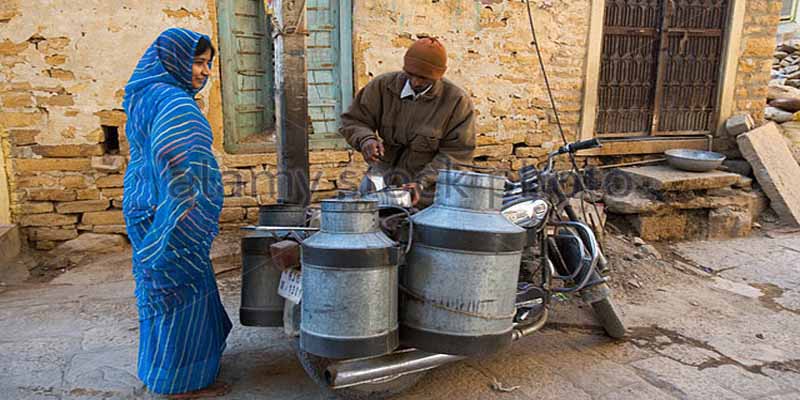 करसोग में दूध 10 रुपये लीटर